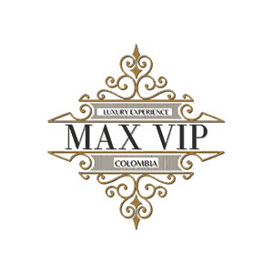 logo max vip